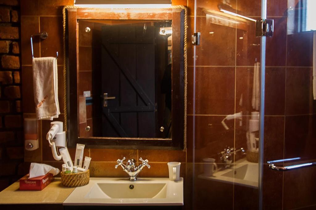 The Divine Hima Hotel Дхарамсала Екстериор снимка