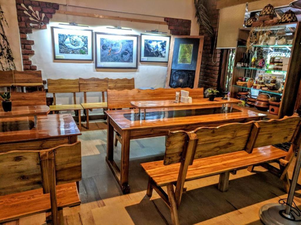 The Divine Hima Hotel Дхарамсала Екстериор снимка