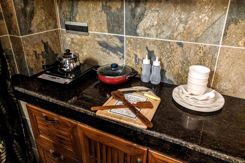 The Divine Hima Hotel Дхарамсала Екстериор снимка